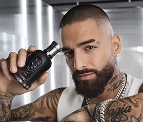 GRID 2-small 3_BOSS_Lxh_293x250px.jpg